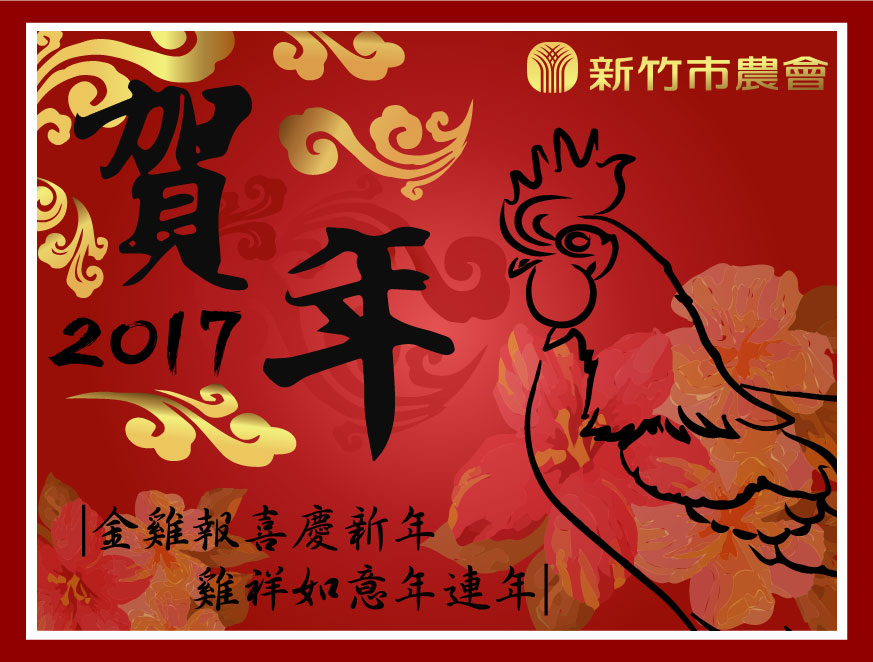 2017 New Year